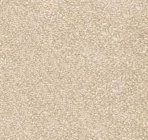 Ковролин AW Nobilis 31 фото 1 | FLOORDEALER